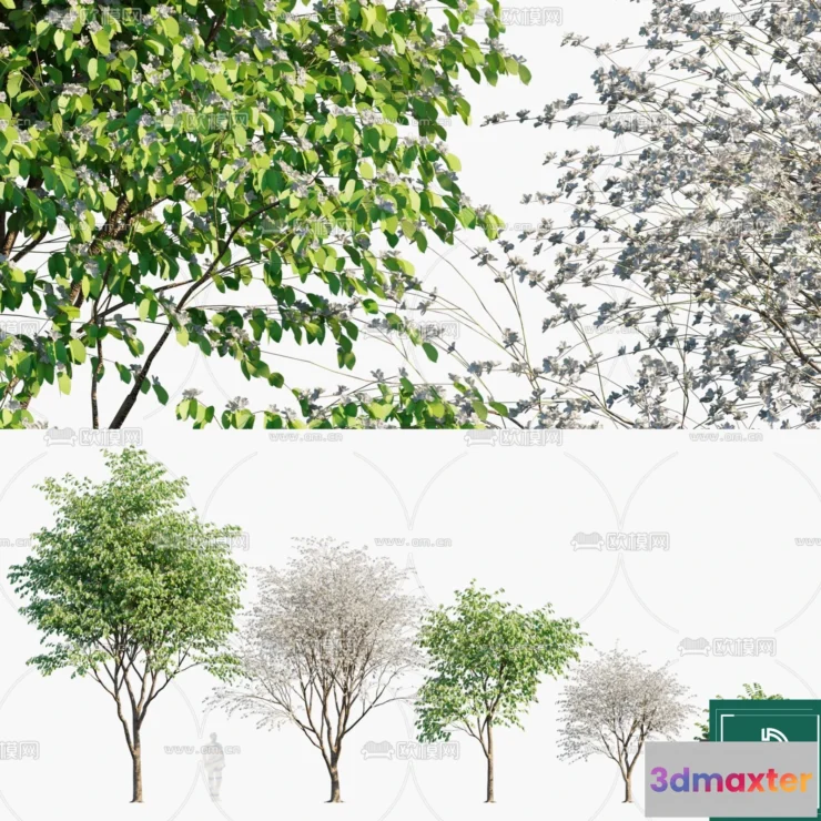 1383653 - Tree 3D Models - Exterior and Architecture 3DS Max - 293 3D Max