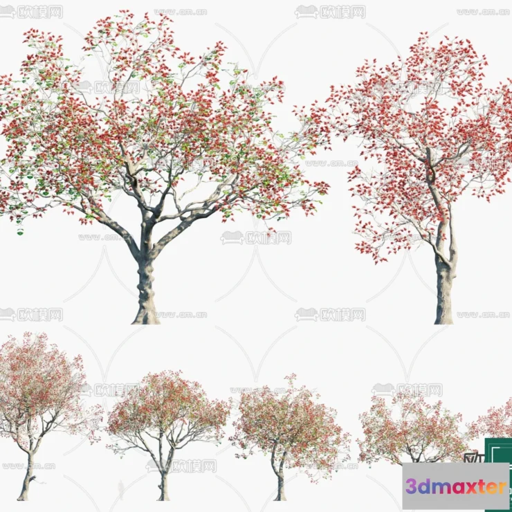 1383731 - Tree 3D Models - Exterior and Architecture 3DS Max - 294 3D Max