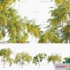 1383905 - Tree 3D Models - Exterior and Architecture 3DS Max - 297 3D Max