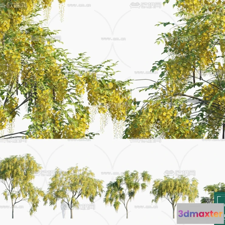1383905 - Tree 3D Models - Exterior and Architecture 3DS Max - 297 3D Max