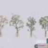 1384163 - Tree 3D Models - Exterior and Architecture 3DS Max - 301 3D Max