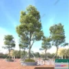 1384305 - Tree 3D Models - Exterior and Architecture 3DS Max - 303 3D Max