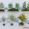 1384373 - Tree 3D Models - Exterior and Architecture 3DS Max - 304 3D Max