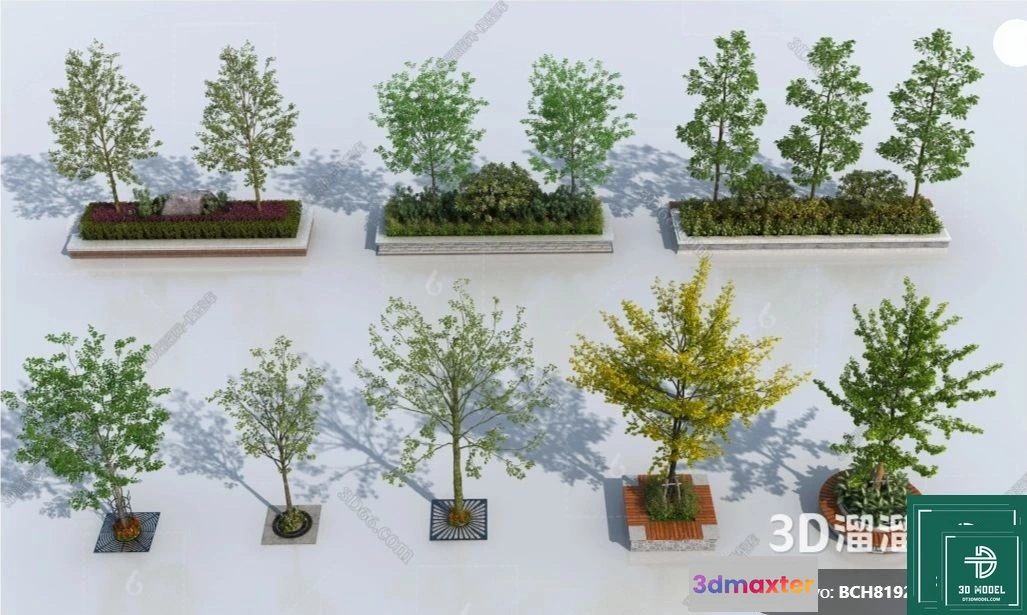 1384373 - Tree 3D Models - Exterior and Architecture 3DS Max - 304 3D Max