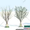 1384502 - Tree 3D Models - Exterior and Architecture 3DS Max - 306 3D Max