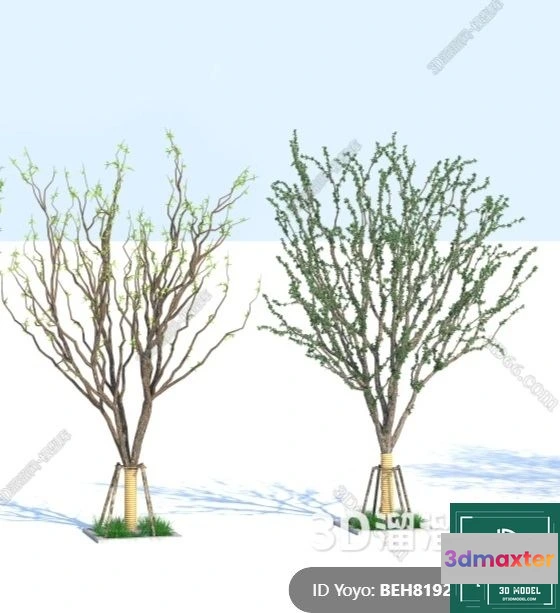 1384502 - Tree 3D Models - Exterior and Architecture 3DS Max - 306 3D Max