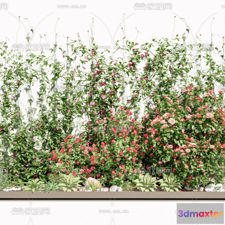 1384711 - Tree 3D Models - Exterior and Architecture 3DS Max - 309 3D Max