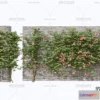 1384779 - Tree 3D Models - Exterior and Architecture 3DS Max - 310 3D Max
