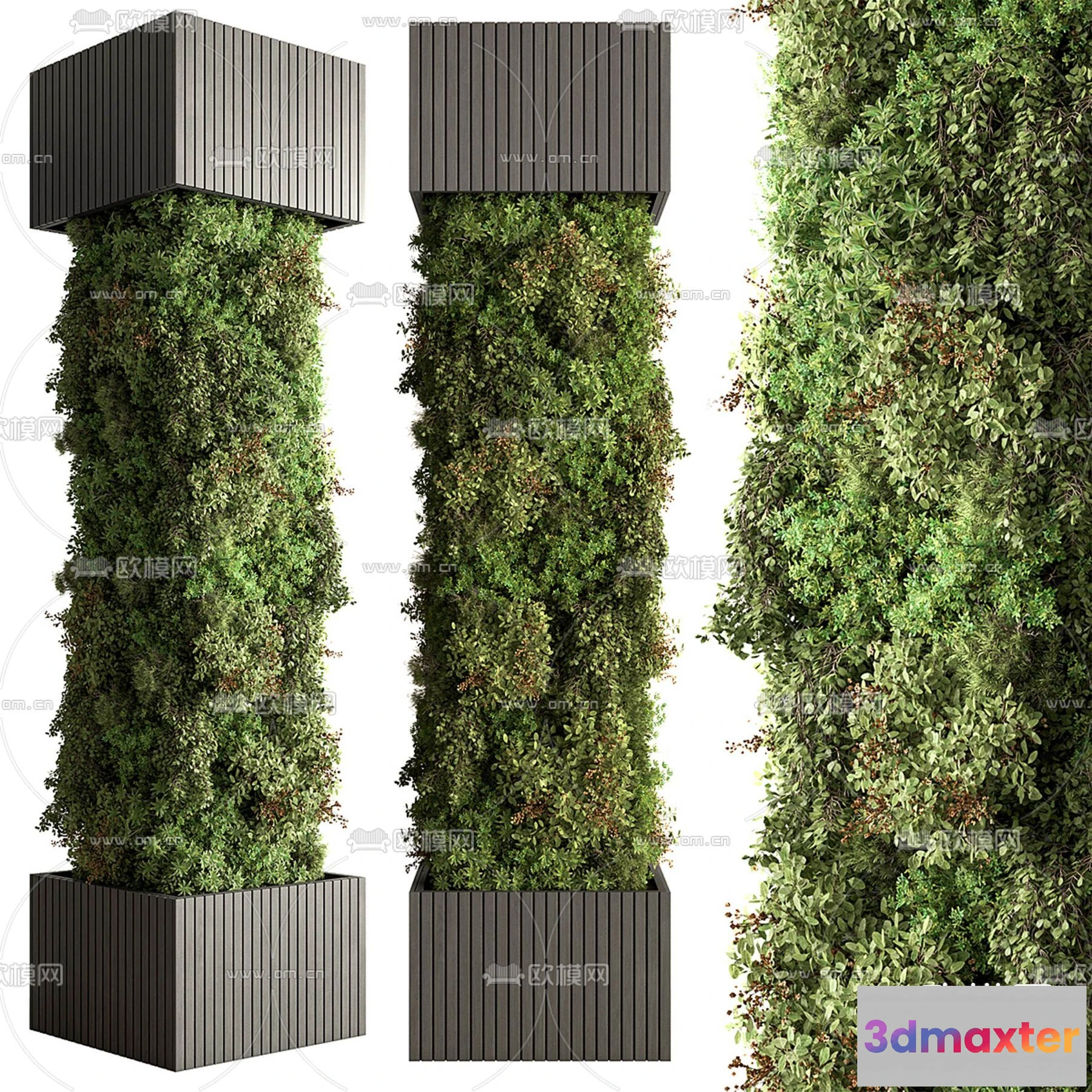 1385038 - Tree 3D Models - Exterior and Architecture 3DS Max - 314 3D Max