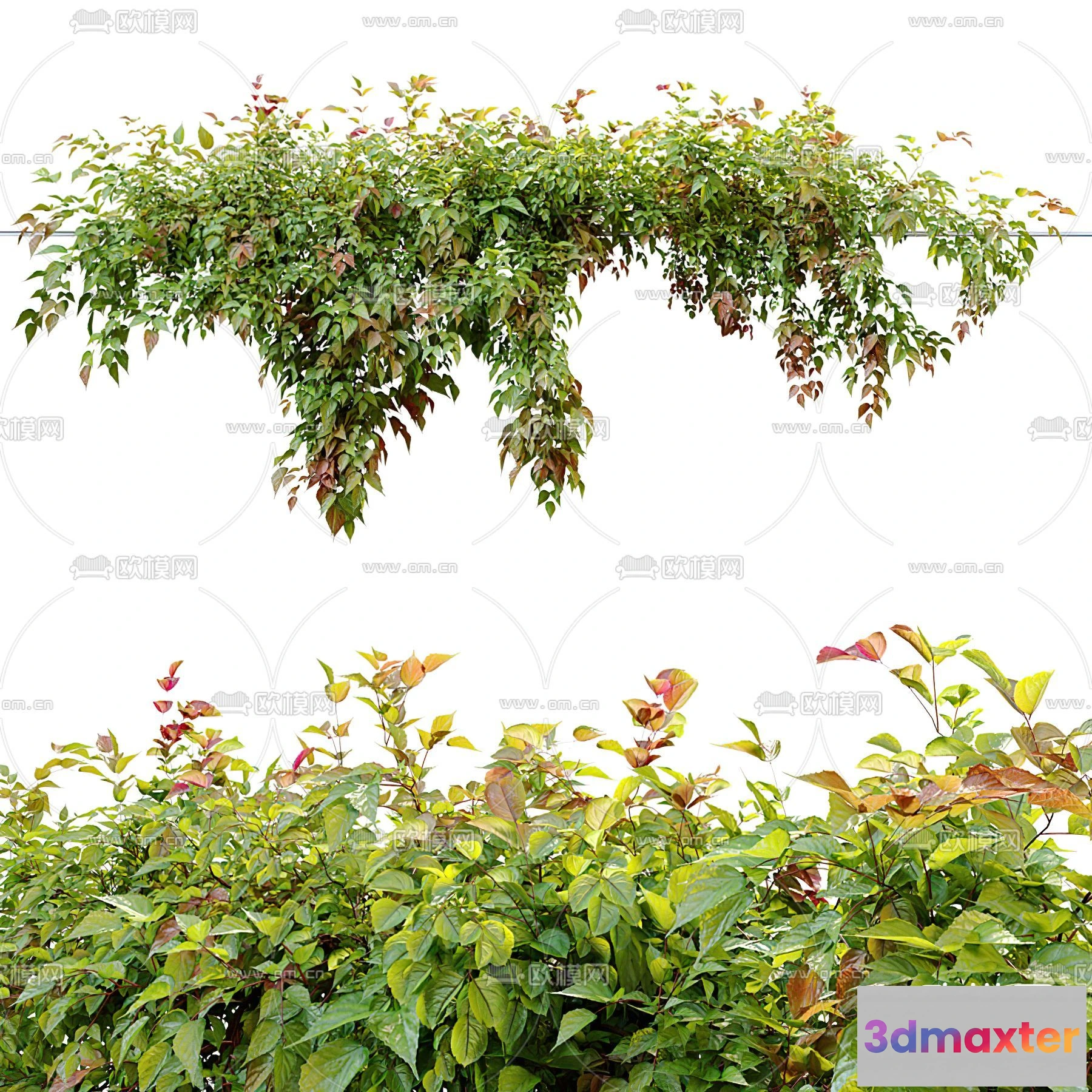 1385167 - Tree 3D Models - Exterior and Architecture 3DS Max - 316 3D Max