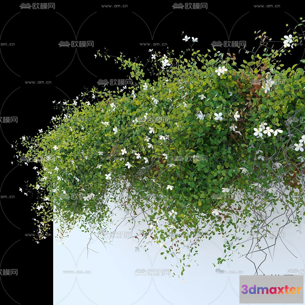 1385234 - Tree 3D Models - Exterior and Architecture 3DS Max - 317 3D Max