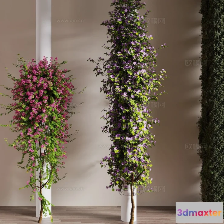 1385477 - Tree 3D Models - Exterior and Architecture 3DS Max - 321 3D Max