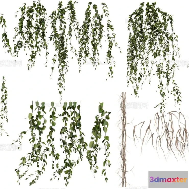 1385543 - Tree 3D Models - Exterior and Architecture 3DS Max - 322 3D Max