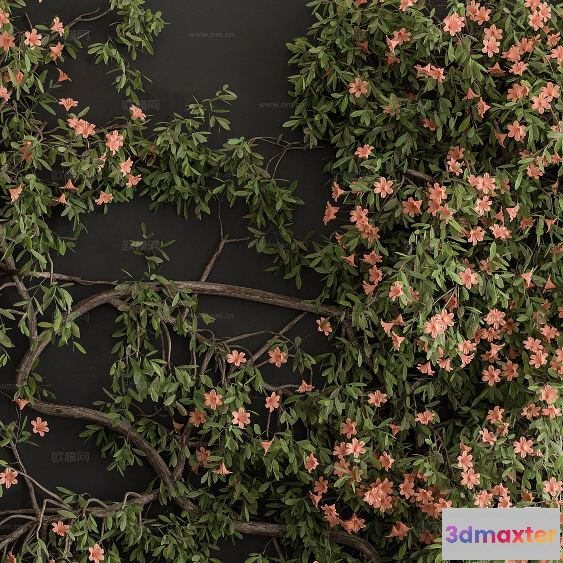 1385795 - Tree 3D Models - Exterior and Architecture 3DS Max - 326 3D Max