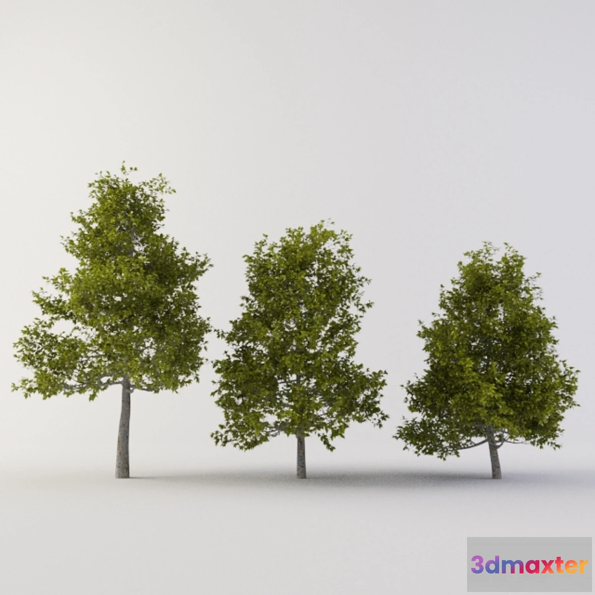 1392744 - Tree 3D Max