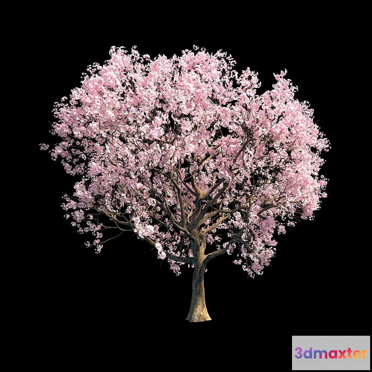 1396280 - Sakura 8 3D Max