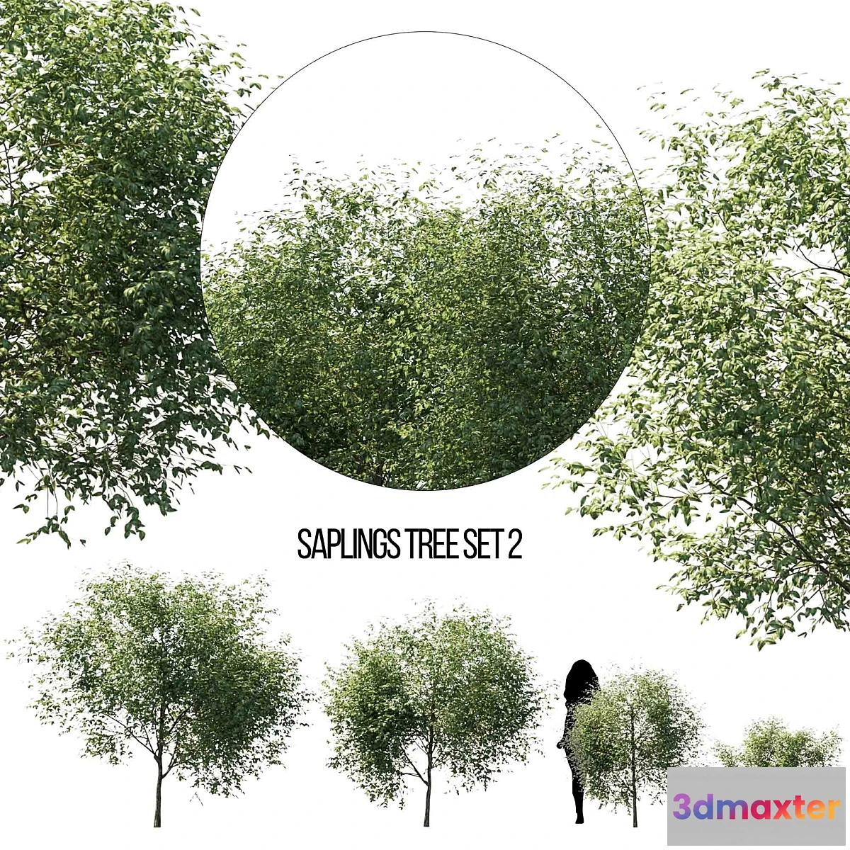 1407362 - saplings tree set 2 3D Max