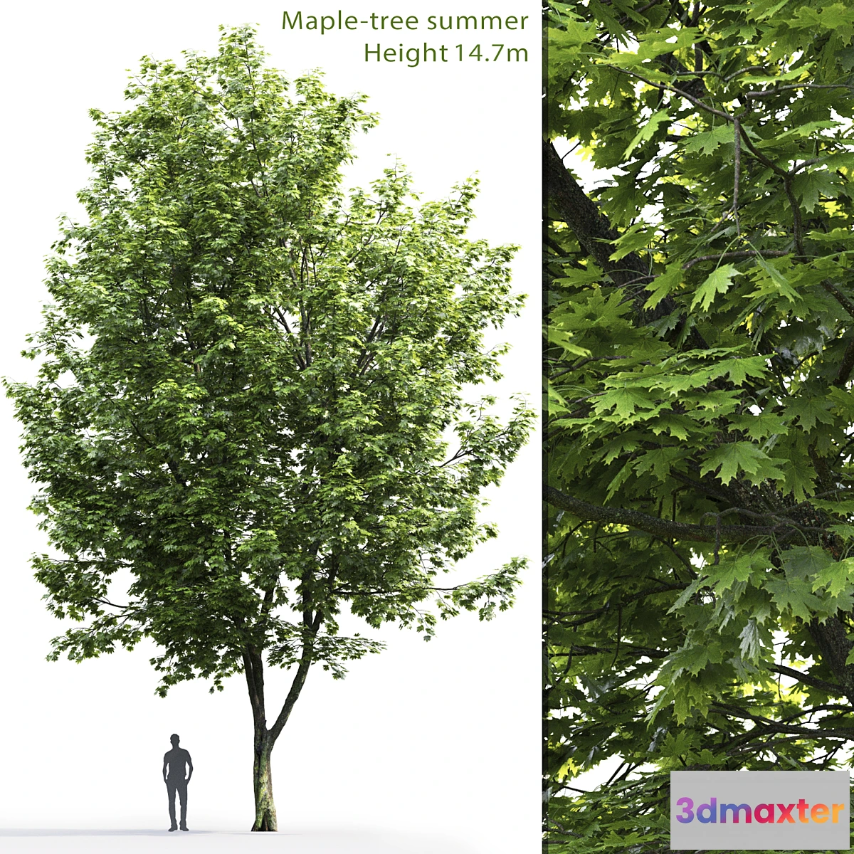 1411562 - Acer 3D Max