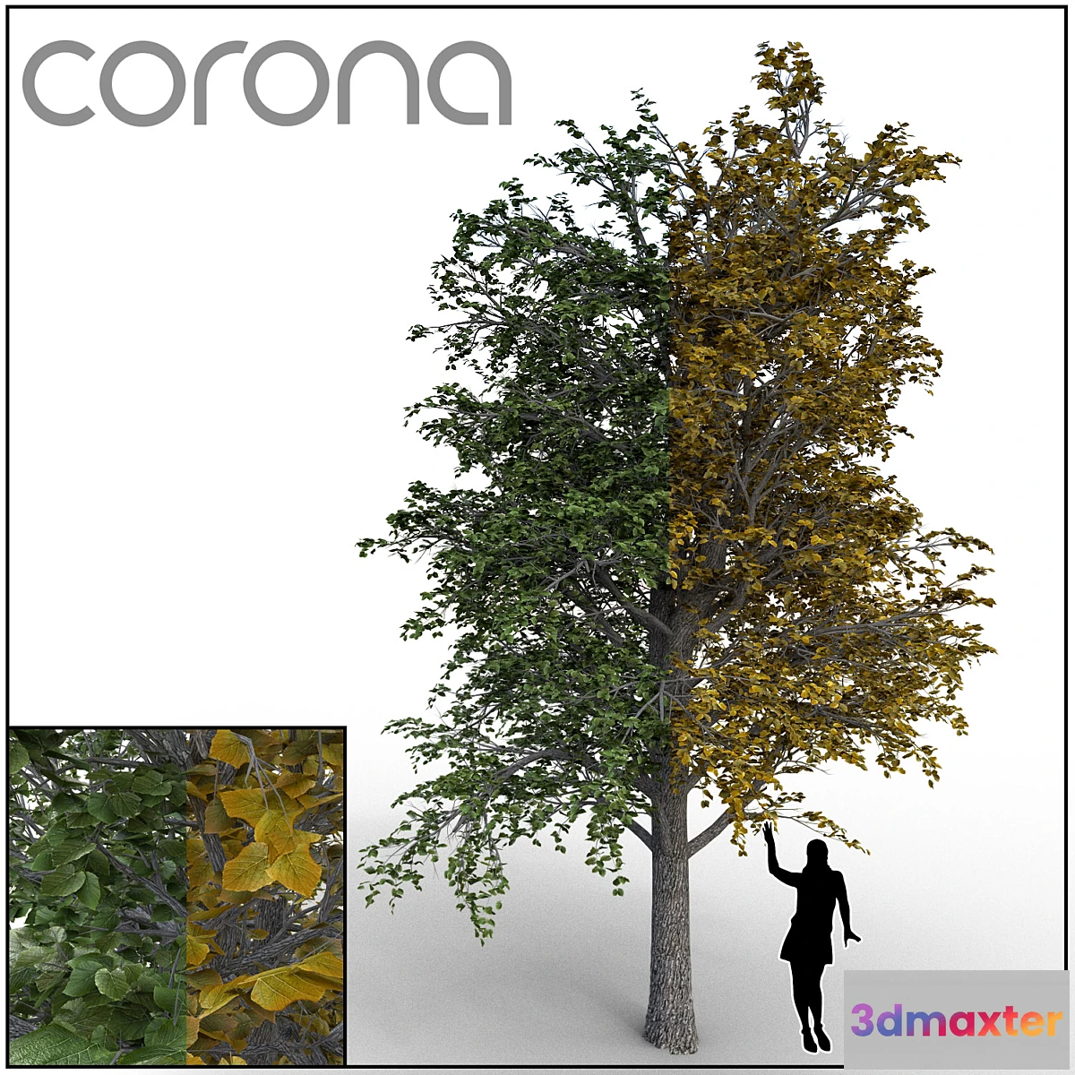 1417530 - Linden 3D Max