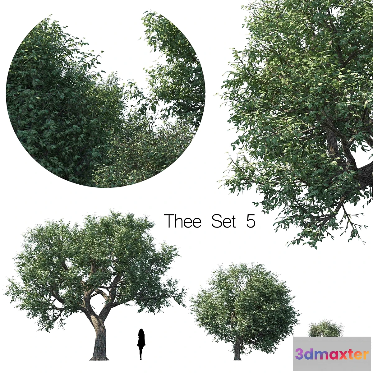 1421624 - Thee set 5 3D Max