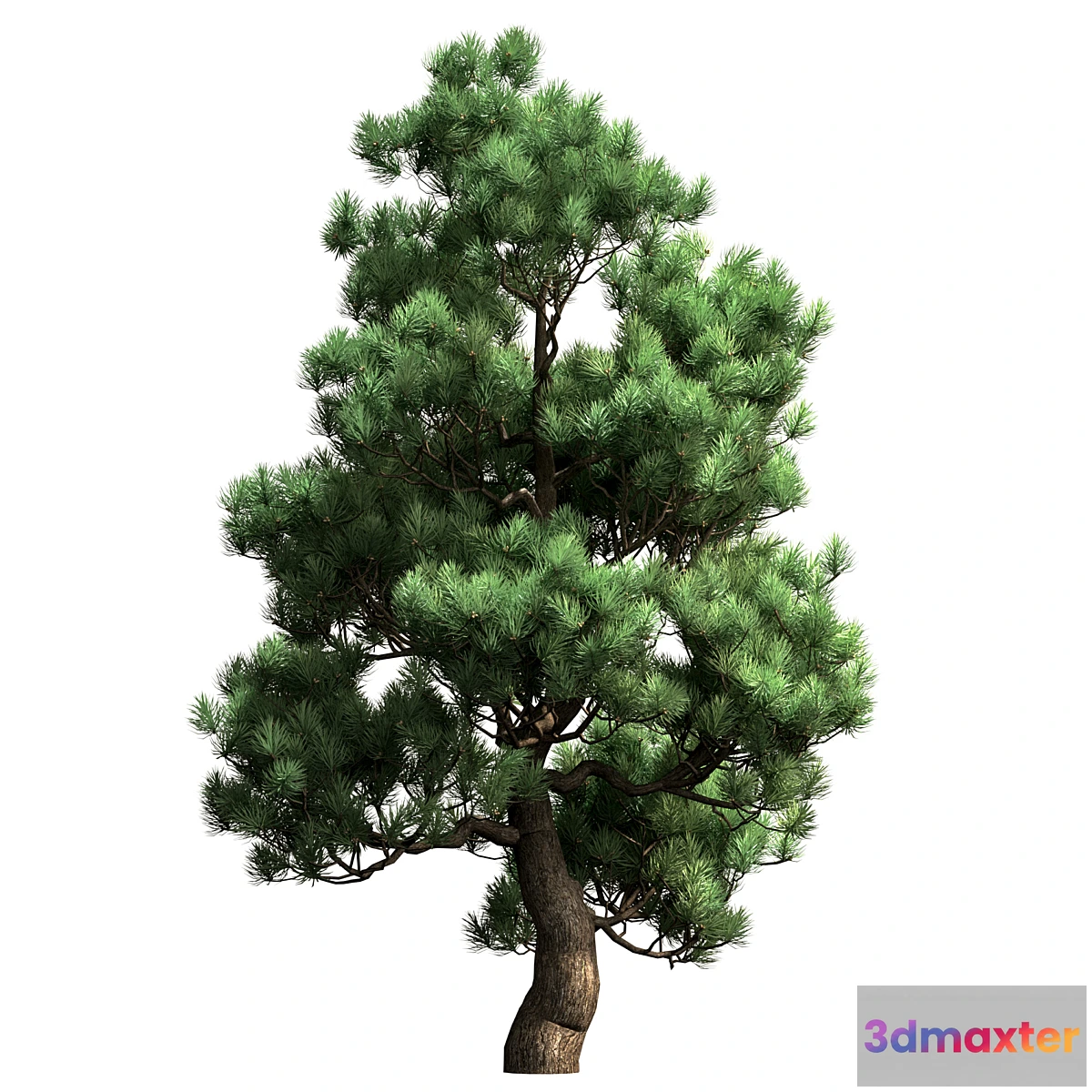 1424764 - Decorative pine v2 3D Max