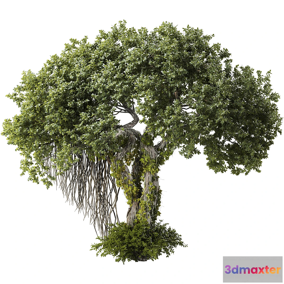 1433156 - Jungle Tree and ivy plants 320 3D Max
