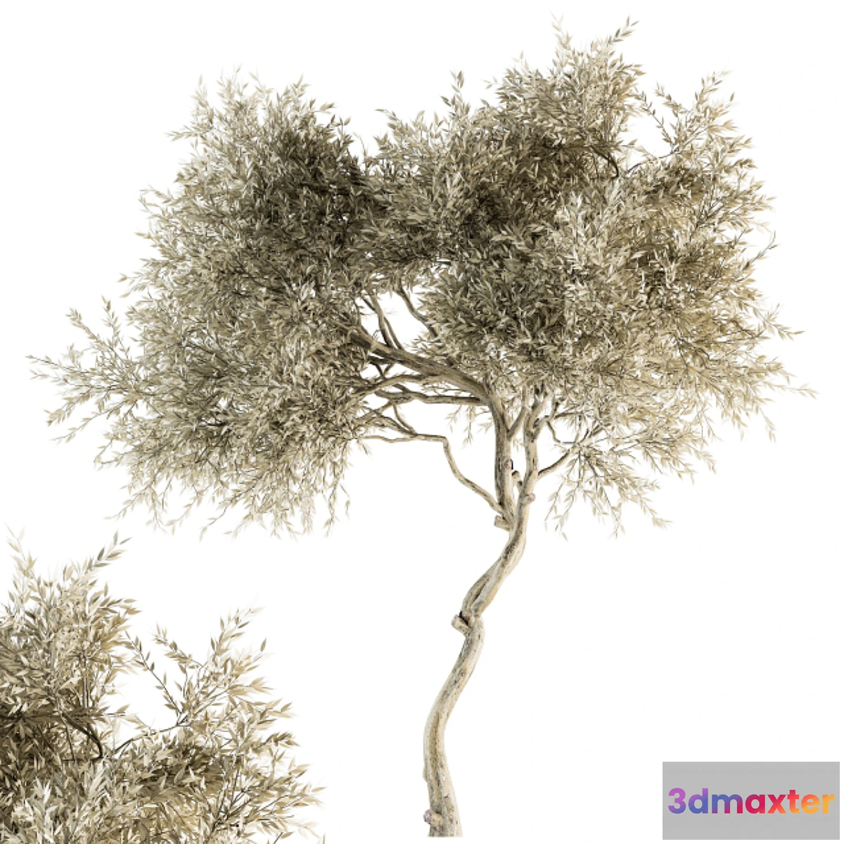 1434810 - Tree Broadleaf Dried - Set 30 3D Max