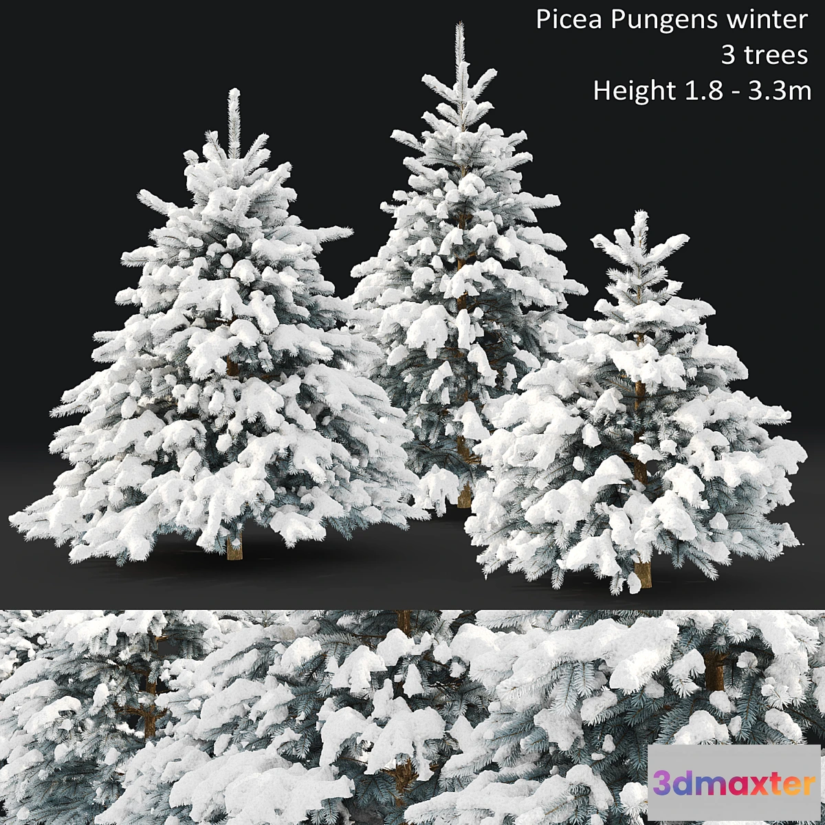 1437690 - Spruce winter 3D Max