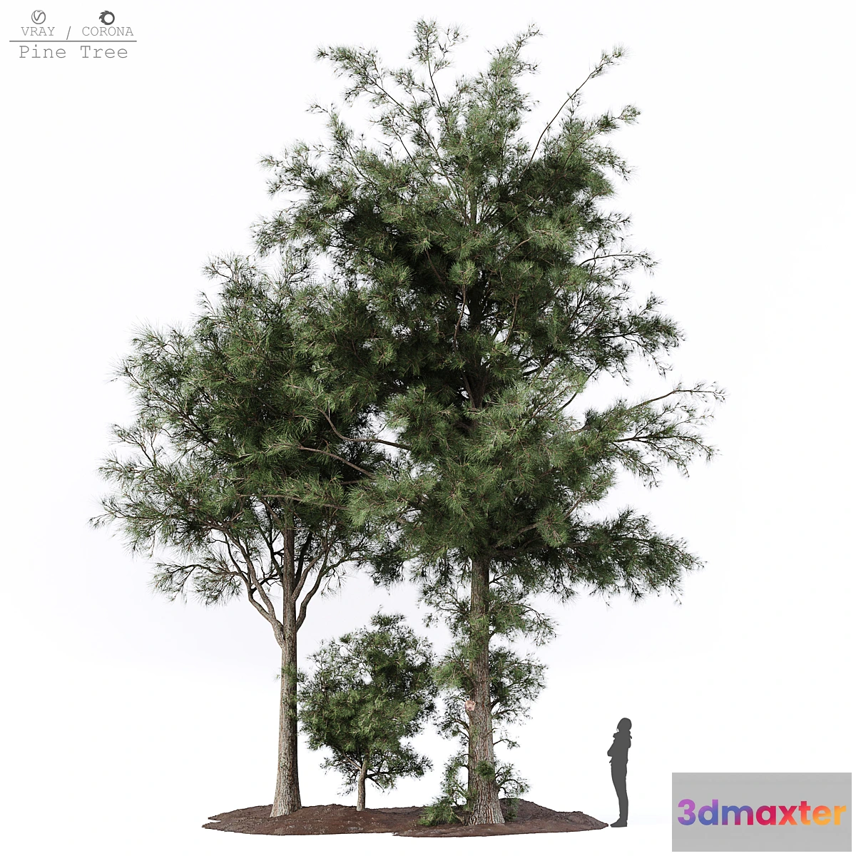 1440676 - Pine tree 3D Max