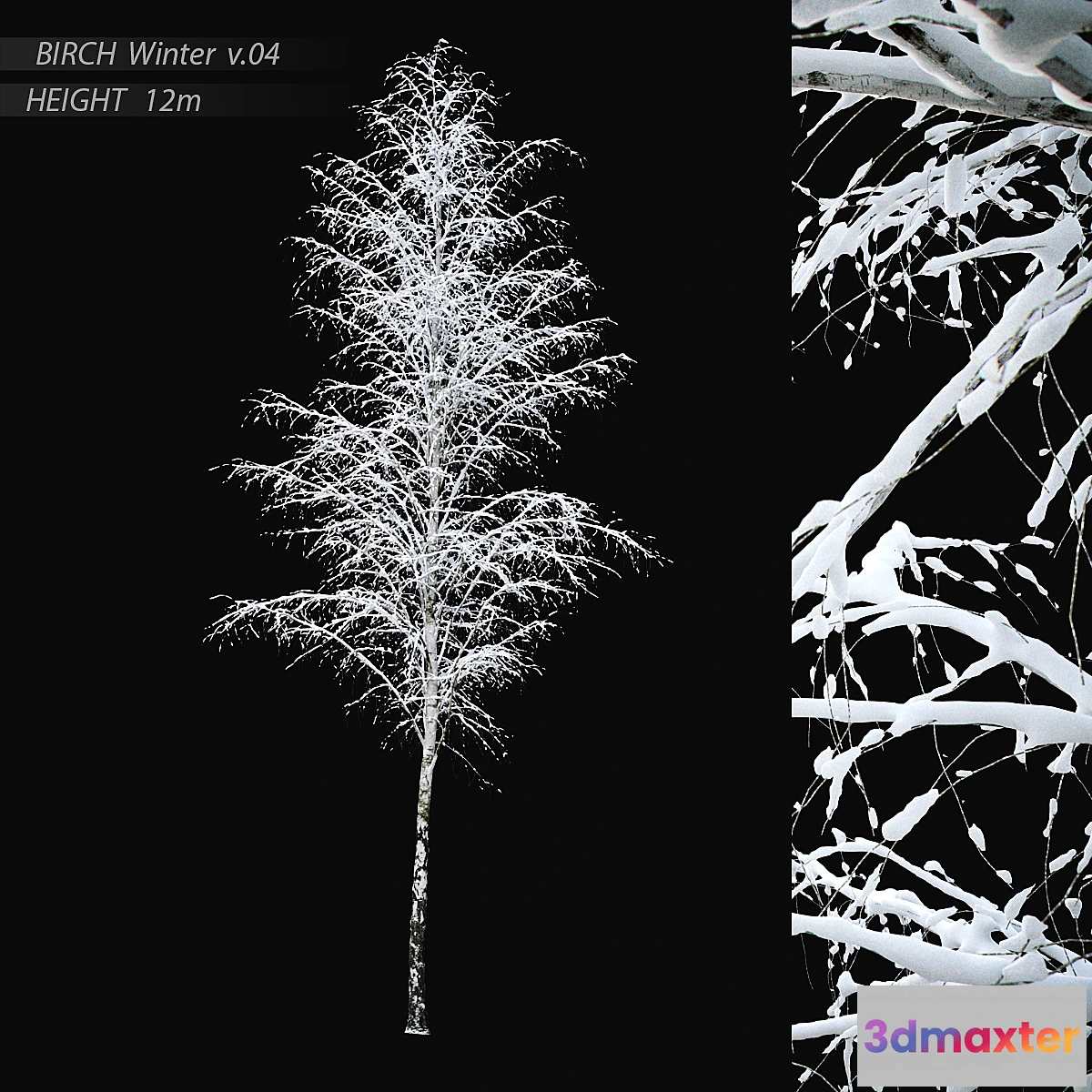 1453538 - Winter birch v.04 (12m) 3D Max