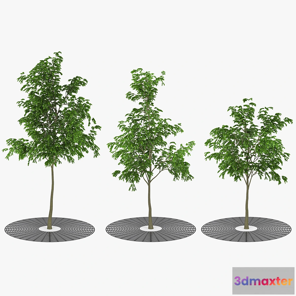 1461140 - Street tree 3D Max