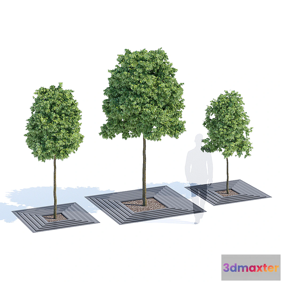 1472580 - Arboris 3D Max