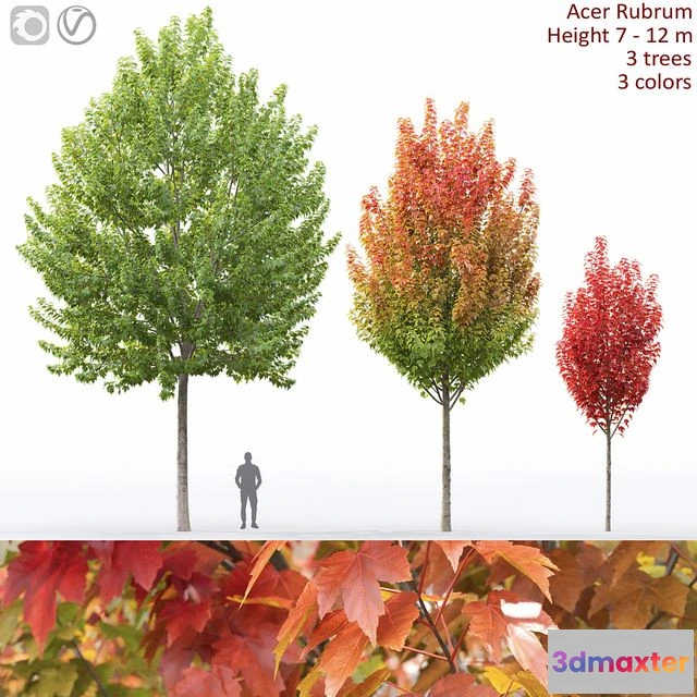 1538212 - Acer 3D Max