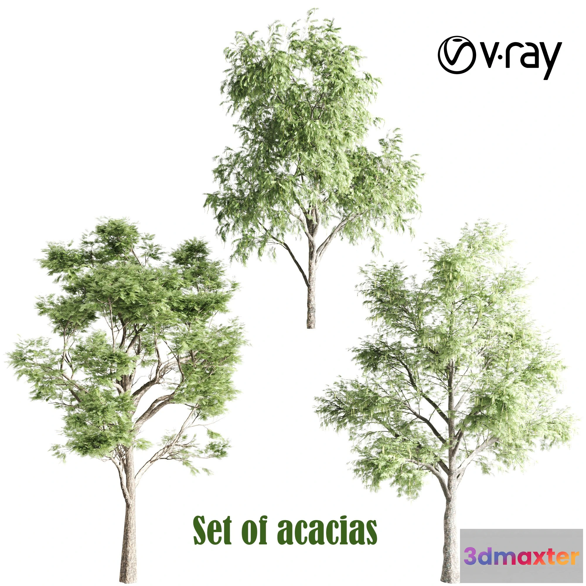 1539435 - Set of acacias 3D Max