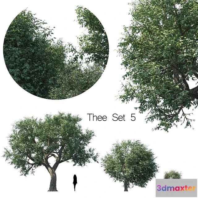 1539501 - Thee set 5 3D Max