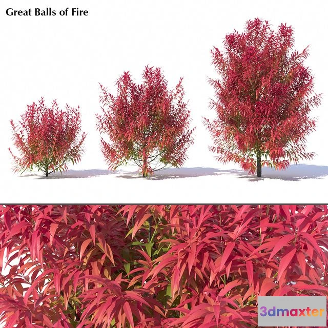 1540661 - Great Balls of Fire 3D Max