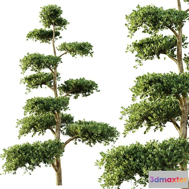 1553621 - tree set 04 3D Max
