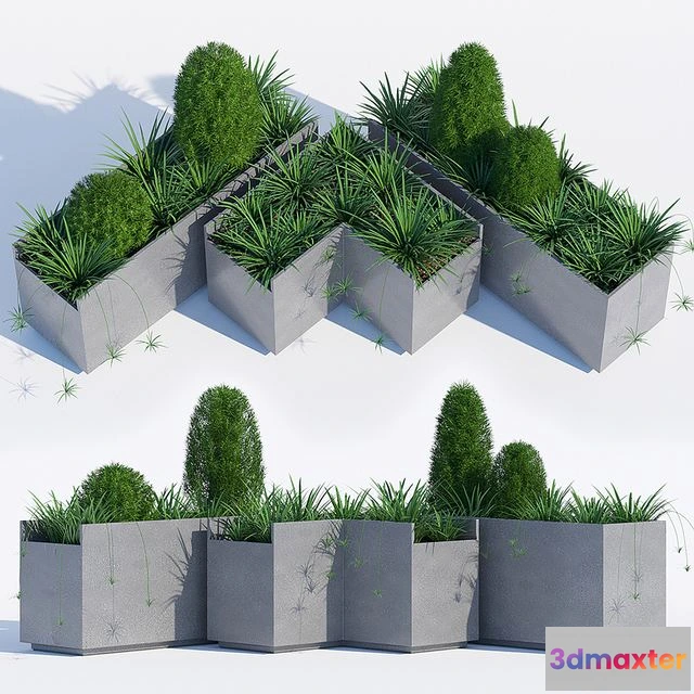 1558691 - California plant outdoor 3D Max