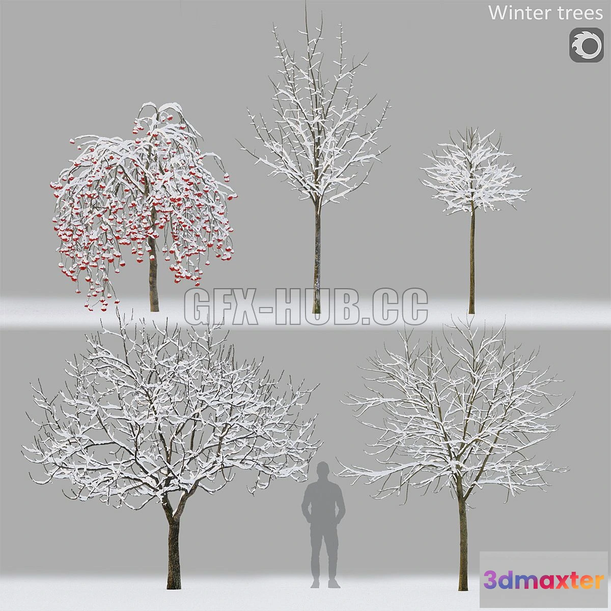 1564512 - Winter trees 1 3D Max