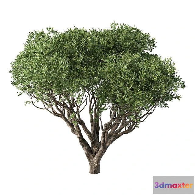 1568850 - Tree No.89 3D Max