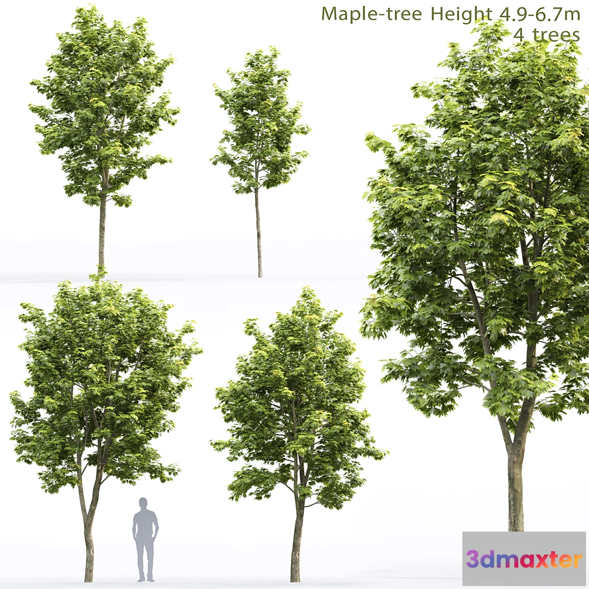 573738 - Acer - No.2