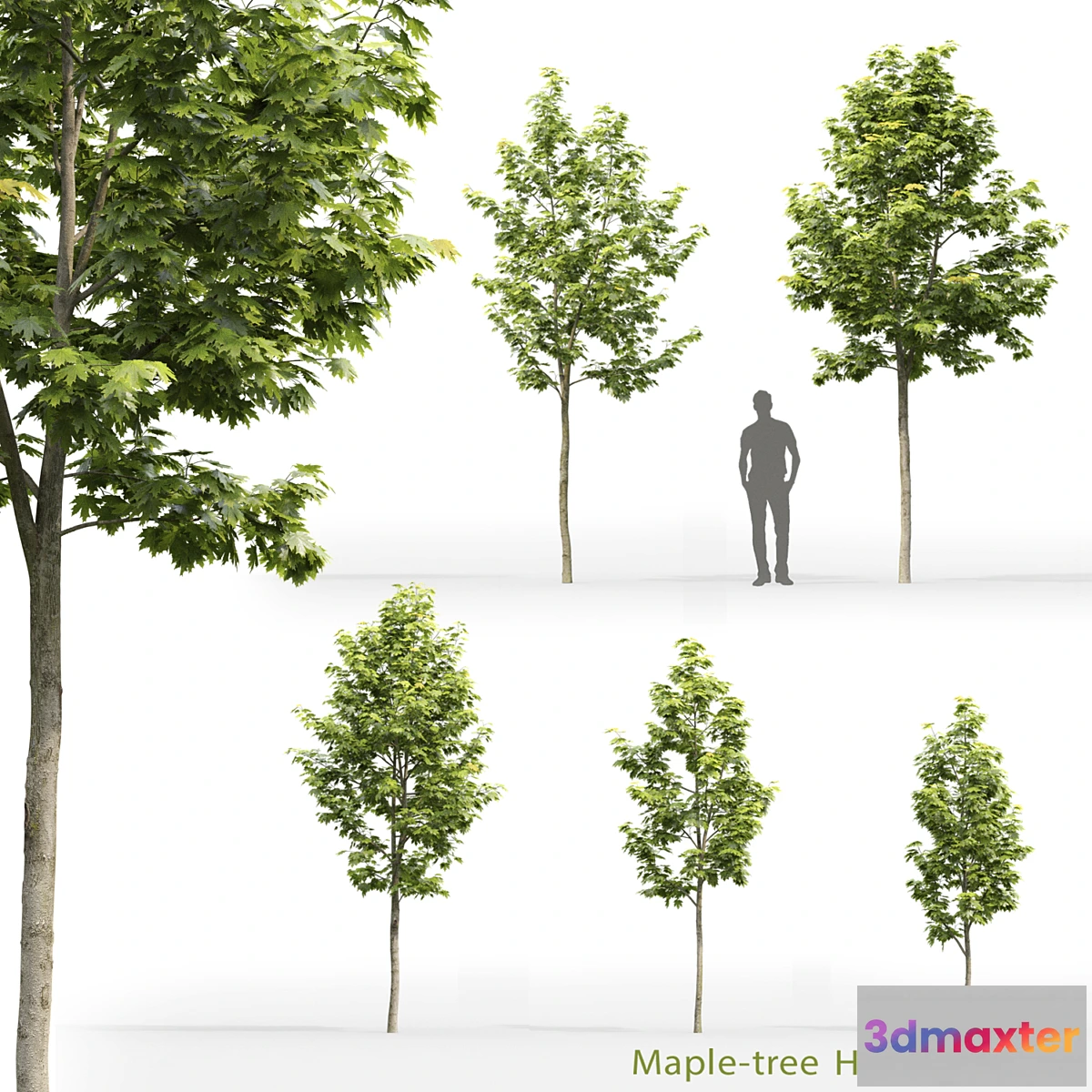 573816 - Acer - No.3