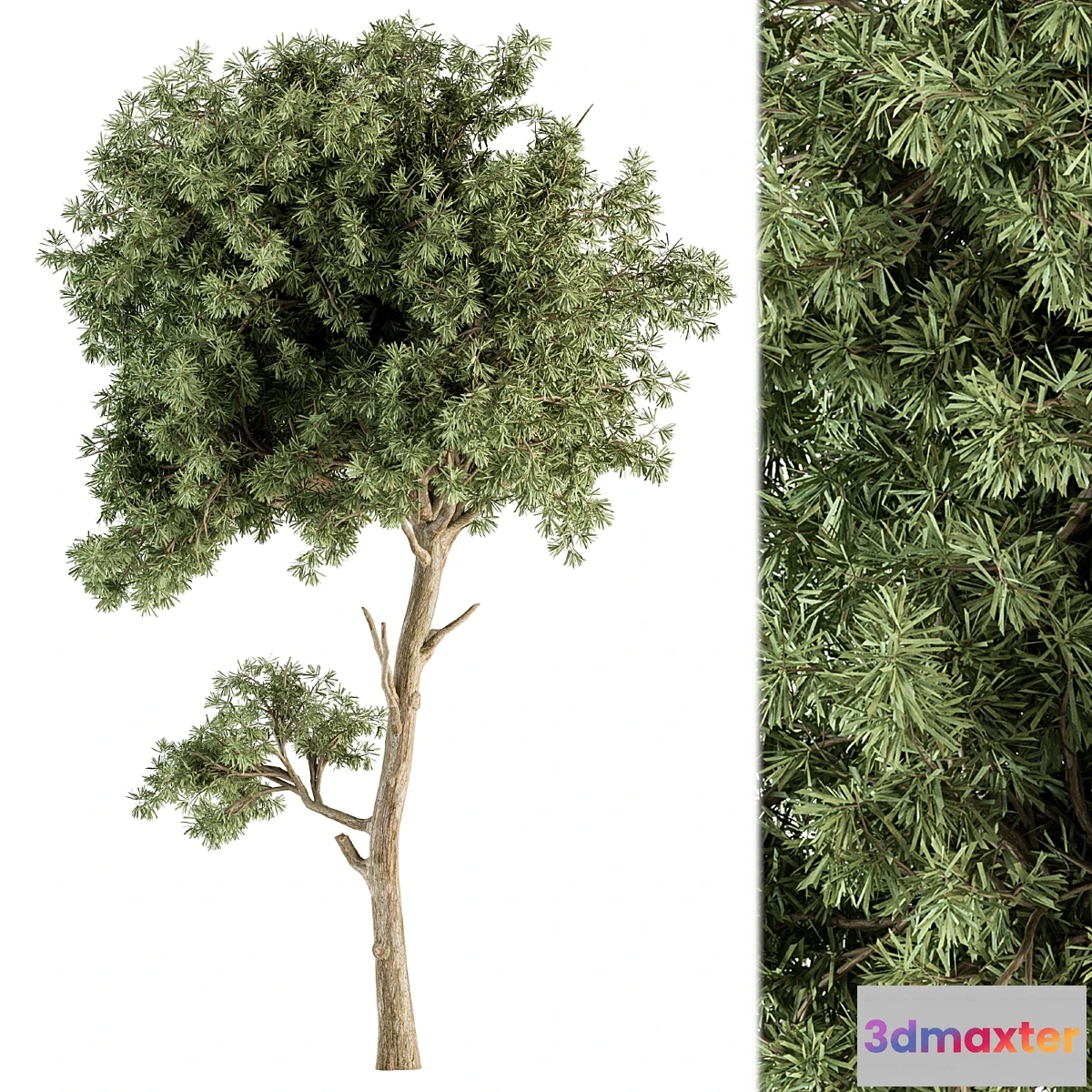 618103 - Small Tree Green Maple Needle - Set 71