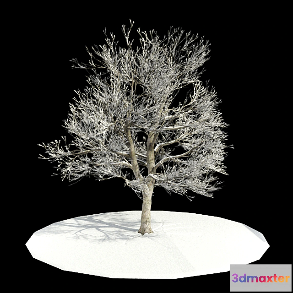 631619 - tree-snow _ tree in snow