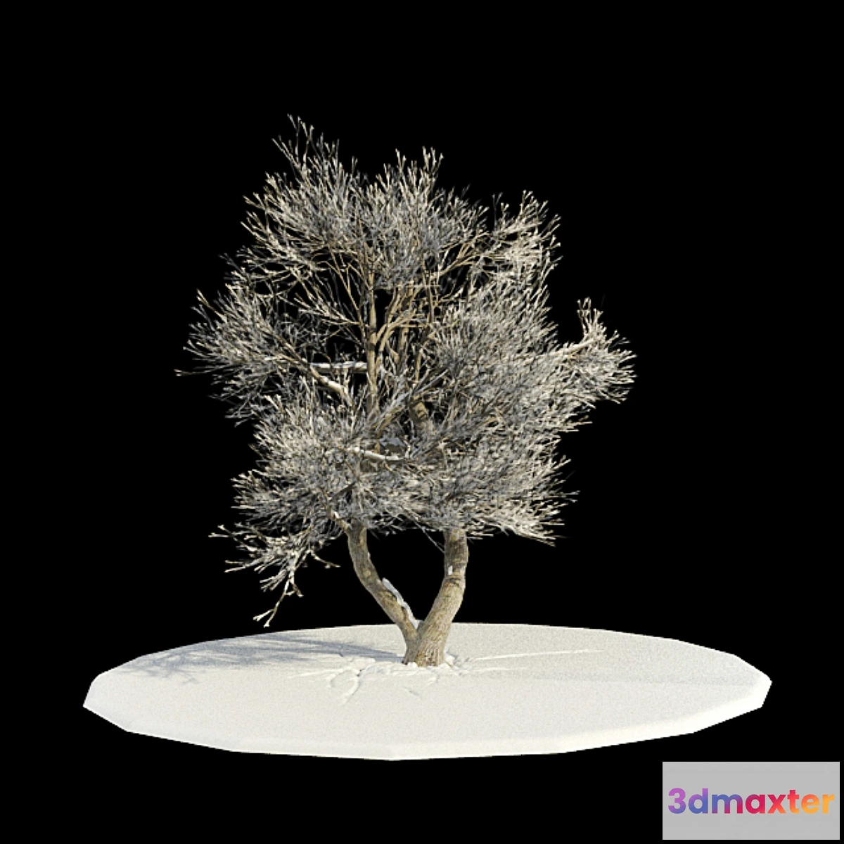 631621 - tree-snow v3 _ tree in snow v3