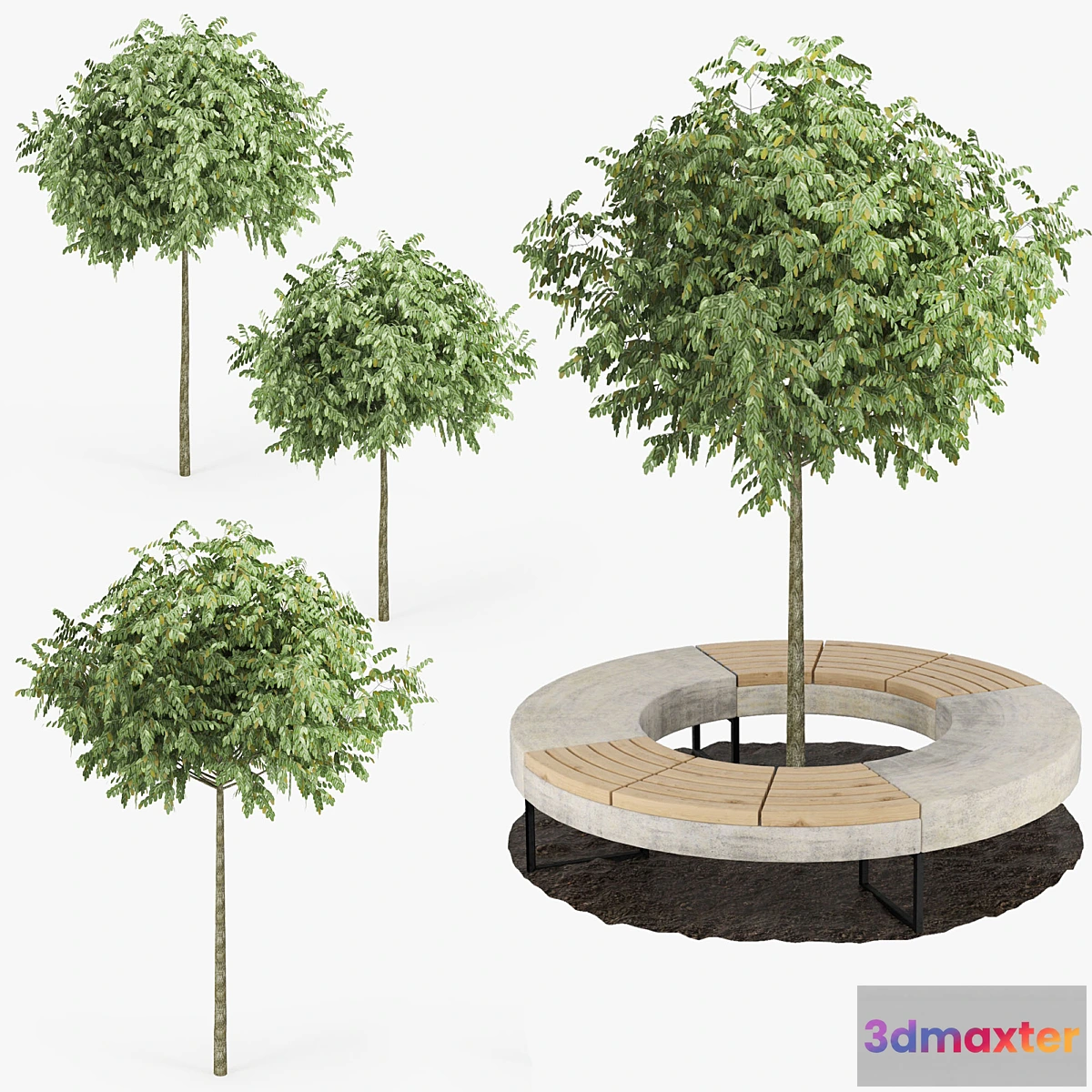 662627 - Tree Flowerbed