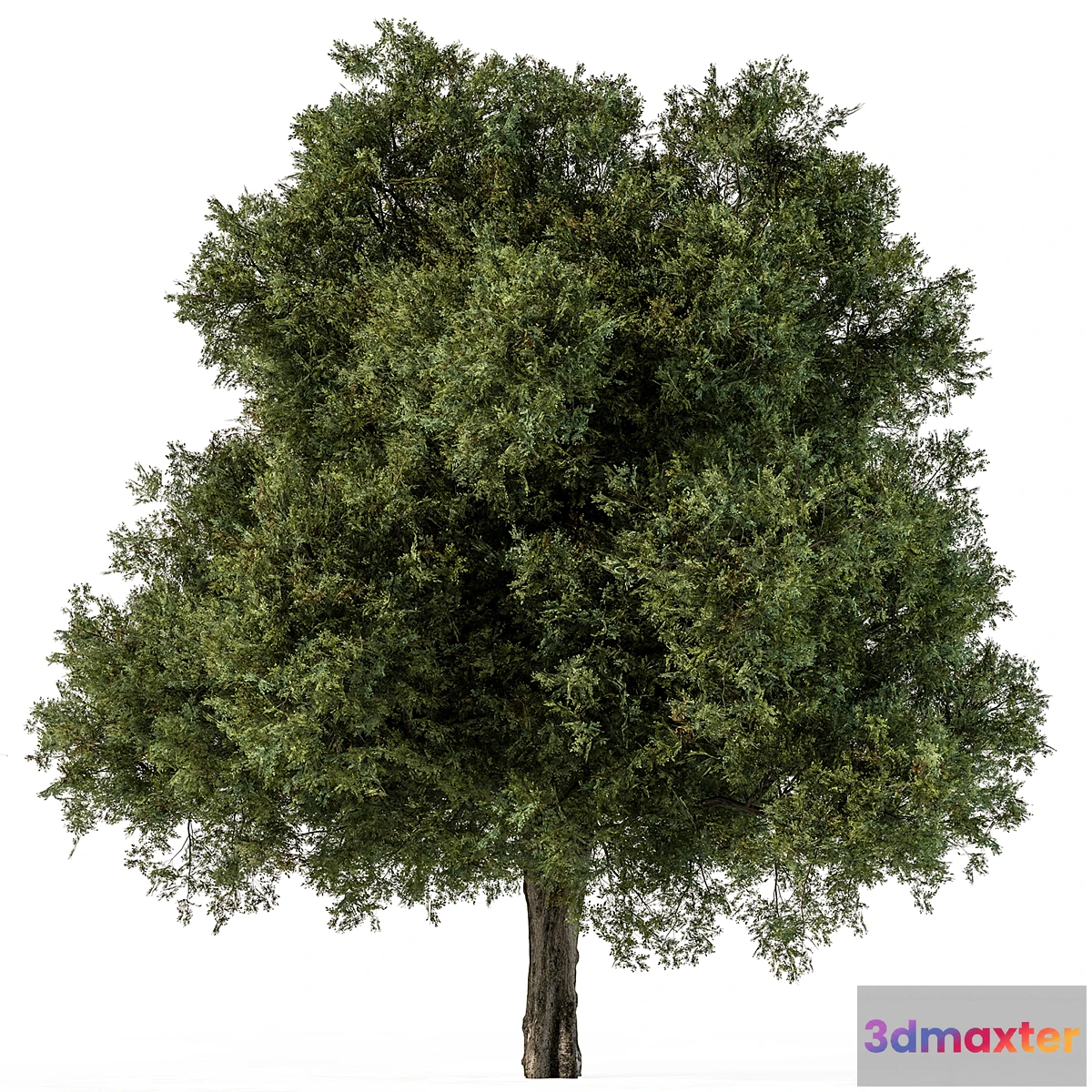 688980 - Tree Green Maple - Set 99