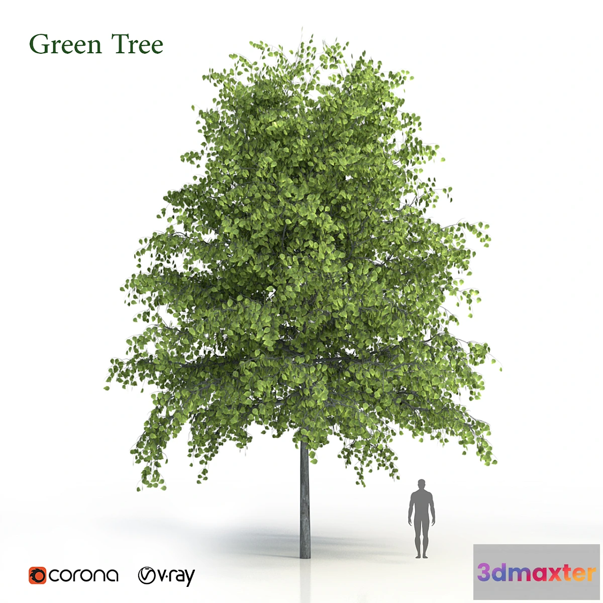 718704 - Green tree - No.2