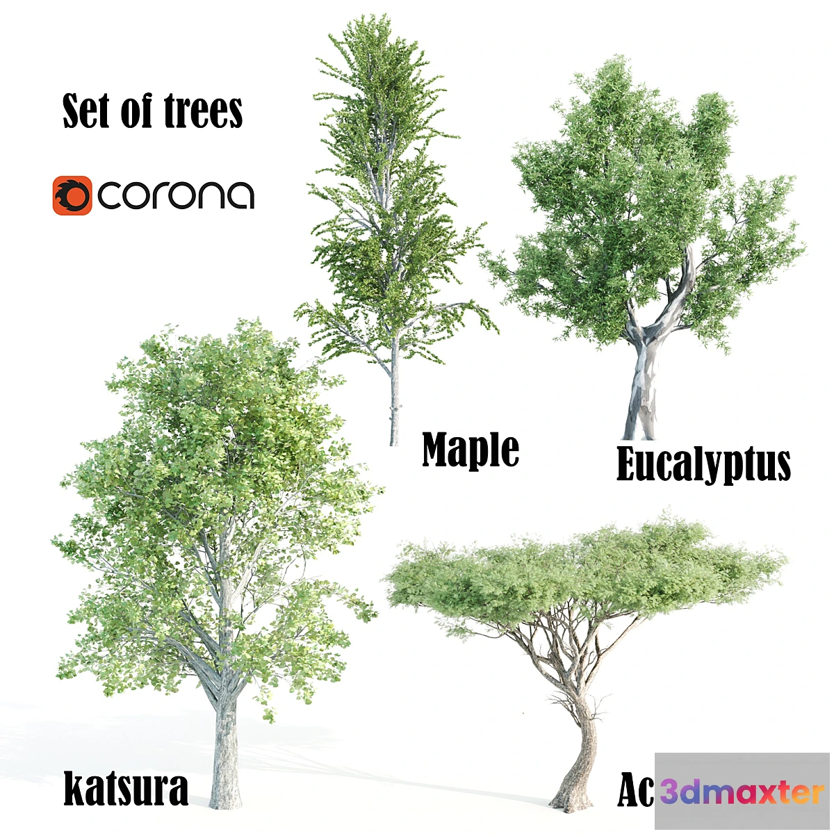 718738 - set of tree05 - No.2