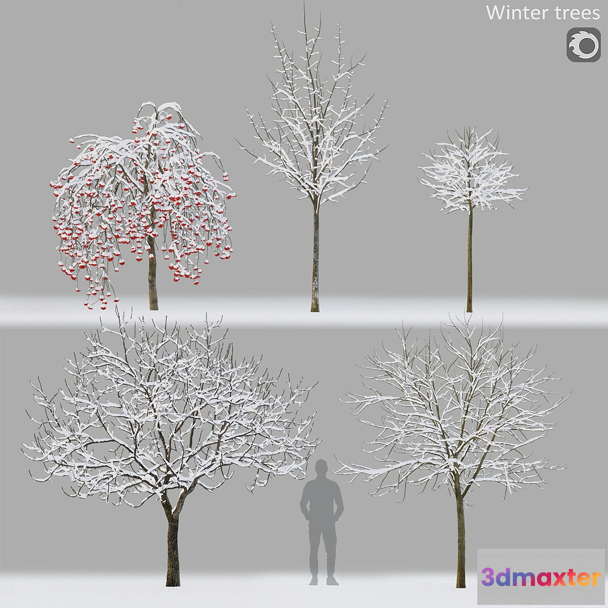 749831 - Winter trees # 1 - No.2